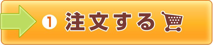 ステップ1.時計を注文する